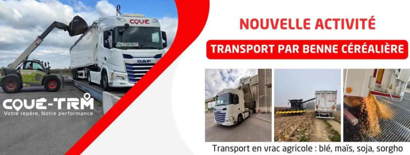 Transport Coué par benne céréalière chargée de maïs sur exploitation agricole, service de transport vrac agricole blé maïs soja sorgho