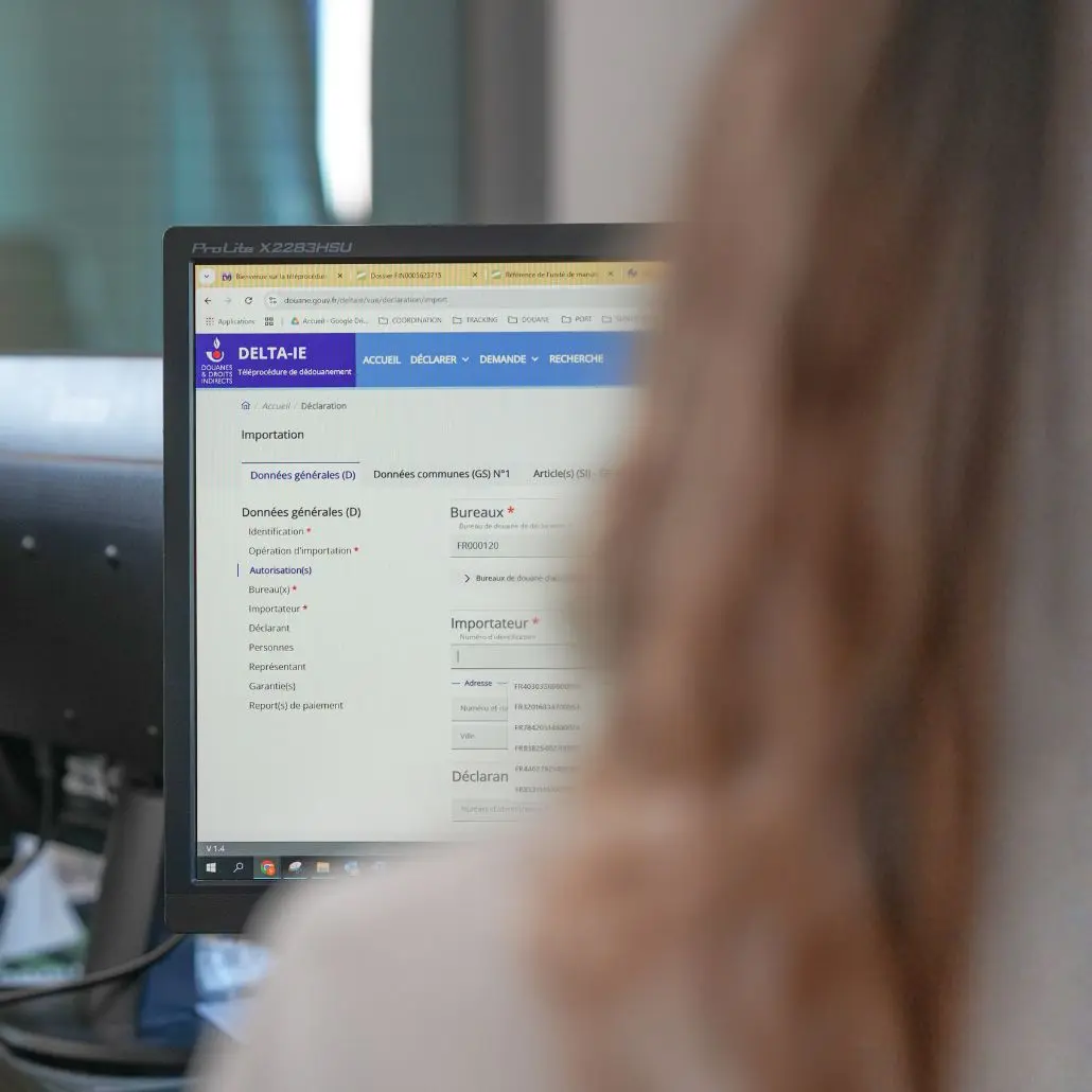 Déclaration en douane import export sur plateforme DELTA IE effectuée par Sotecan pour formalités douanières et dédouanement